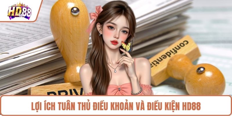 Lợi ích tuân thủ điều khoản và điều kiện HD88 