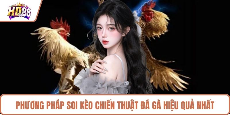 Phương pháp soi kèo chiến thuật đá gà hiệu quả nhất 